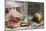 Grapes, Bread, Sausages and Wine on Wooden Bench in Front of Farmhouse-Eising Studio - Food Photo and Video-Mounted Photographic Print
