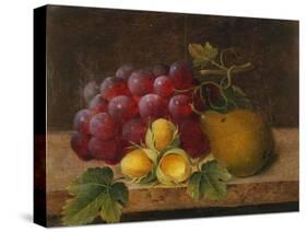 Grapes, Cobnuts and a Pear on a Ledge-Christine Marie Lovmand-Stretched Canvas