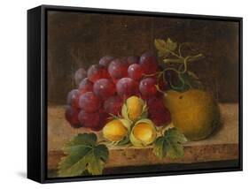 Grapes, Cobnuts and a Pear on a Ledge-Christine Marie Lovmand-Framed Stretched Canvas