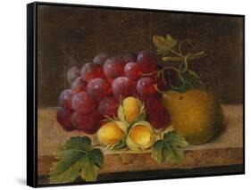 Grapes, Cobnuts and a Pear on a Ledge-Christine Marie Lovmand-Framed Stretched Canvas