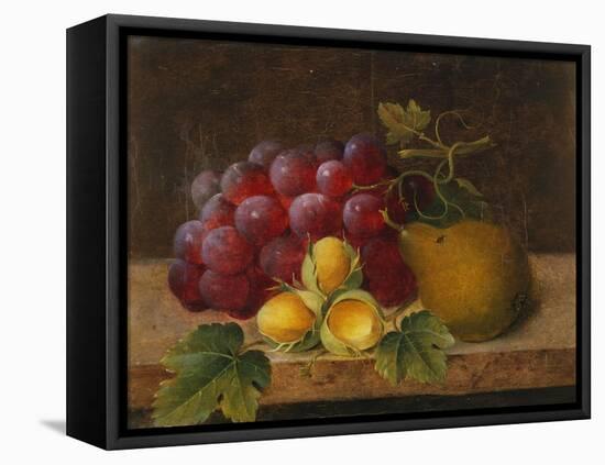 Grapes, Cobnuts and a Pear on a Ledge-Christine Marie Lovmand-Framed Stretched Canvas