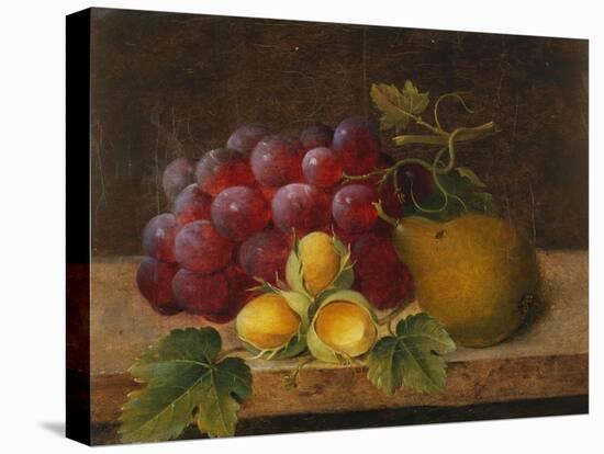 Grapes, Cobnuts and a Pear on a Ledge-Christine Marie Lovmand-Stretched Canvas