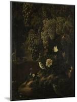 Grapes, Flowers and Animals-Isac Vromans-Mounted Art Print