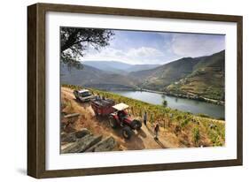 Grapes Harvest Along the Douro River, Near Covelinhas. Alto Douro, Portugal-Mauricio Abreu-Framed Photographic Print