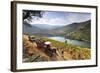 Grapes Harvest Along the Douro River, Near Covelinhas. Alto Douro, Portugal-Mauricio Abreu-Framed Photographic Print