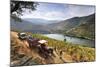 Grapes Harvest Along the Douro River, Near Covelinhas. Alto Douro, Portugal-Mauricio Abreu-Mounted Photographic Print