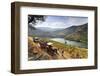 Grapes Harvest Along the Douro River, Near Covelinhas. Alto Douro, Portugal-Mauricio Abreu-Framed Photographic Print