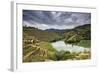 Grapes Harvest Along the River Tedo, a Tributary of the River Douro. Alto Douro, Portugal-Mauricio Abreu-Framed Photographic Print