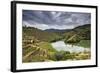 Grapes Harvest Along the River Tedo, a Tributary of the River Douro. Alto Douro, Portugal-Mauricio Abreu-Framed Photographic Print