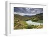 Grapes Harvest Along the River Tedo, a Tributary of the River Douro. Alto Douro, Portugal-Mauricio Abreu-Framed Photographic Print