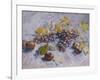 Grapes, Lemons, Pears, and Apples, 1887-Vincent van Gogh-Framed Giclee Print