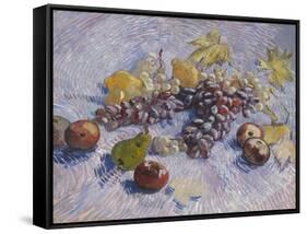 Grapes, Lemons, Pears, and Apples, 1887-Vincent van Gogh-Framed Stretched Canvas