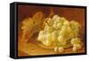 Grapes on a Silver Plate, 1893-Eloise Harriet Stannard-Framed Stretched Canvas