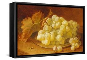 Grapes on a Silver Plate, 1893-Eloise Harriet Stannard-Framed Stretched Canvas
