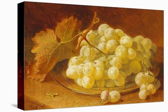 Grapes on a Silver Plate, 1893-Eloise Harriet Stannard-Stretched Canvas