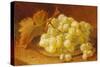 Grapes on a Silver Plate, 1893-Eloise Harriet Stannard-Stretched Canvas