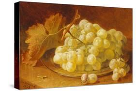 Grapes on a Silver Plate, 1893-Eloise Harriet Stannard-Stretched Canvas