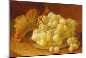 Grapes on a Silver Plate, 1893-Eloise Harriet Stannard-Mounted Giclee Print