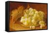 Grapes on a Silver Plate, 1893-Eloise Harriet Stannard-Framed Stretched Canvas