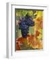 Grapes on a Vine-Merrill Images-Framed Photographic Print