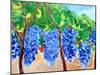 Grapes on the Vine, 2017, (oil on canvas)-Richard Fox-Mounted Giclee Print