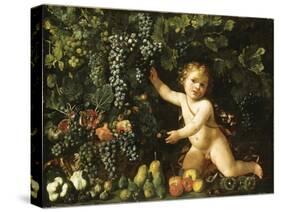 Grapes on the Vine-null-Stretched Canvas