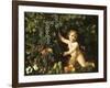 Grapes on the Vine-null-Framed Giclee Print