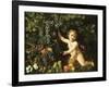 Grapes on the Vine-null-Framed Giclee Print