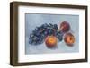 Grapes Peaches Gouache Painting-Anna Pismenskova-Framed Photographic Print