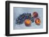 Grapes Peaches Gouache Painting-Anna Pismenskova-Framed Photographic Print