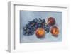 Grapes Peaches Gouache Painting-Anna Pismenskova-Framed Photographic Print