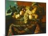 Grapes, Peaches, Plums, Pears and a Melon in a Basket with a Parakeet, a Red Squirrel and a…-Pierre Dupuis-Mounted Giclee Print