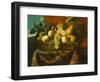 Grapes, Peaches, Plums, Pears and a Melon in a Basket with a Parakeet, a Red Squirrel and a…-Pierre Dupuis-Framed Giclee Print