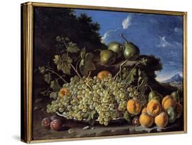 Grapes, Pears, Peaches and Plums Painting by Luis Melendez (1716-1780), 18Th Century Madrid, Prado-Luis Egidio Menendez or Melendez-Stretched Canvas