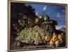 Grapes, Pears, Peaches and Plums Painting by Luis Melendez (1716-1780), 18Th Century Madrid, Prado-Luis Egidio Menendez or Melendez-Mounted Giclee Print