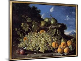 Grapes, Pears, Peaches and Plums Painting by Luis Melendez (1716-1780), 18Th Century Madrid, Prado-Luis Egidio Menendez or Melendez-Mounted Giclee Print
