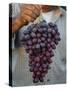 Grapes, San Joaquin Valley, California, United States of America, North America-Yadid Levy-Stretched Canvas