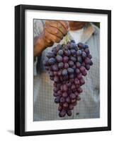 Grapes, San Joaquin Valley, California, United States of America, North America-Yadid Levy-Framed Photographic Print