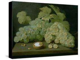 Grapes with Half a Walnut-Jacob Foppens Van Es-Stretched Canvas