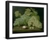 Grapes with Half a Walnut-Jacob Foppens Van Es-Framed Giclee Print