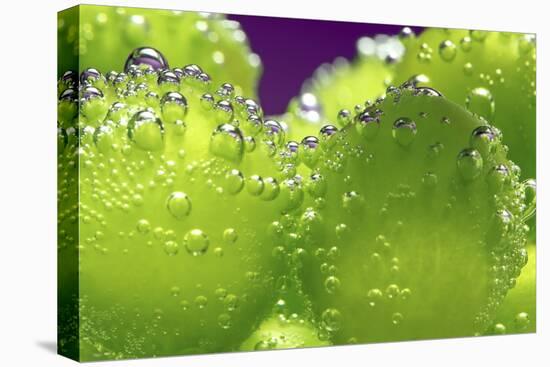 Grapes-Carrie Webster-Stretched Canvas