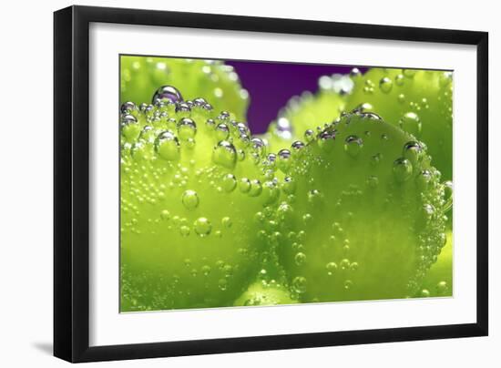 Grapes-Carrie Webster-Framed Photographic Print