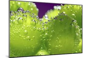 Grapes-Carrie Webster-Mounted Photographic Print