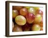 Grapes-Foodcollection-Framed Photographic Print