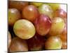 Grapes-Foodcollection-Mounted Photographic Print