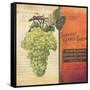 Grapes-Kimberly Poloson-Framed Stretched Canvas
