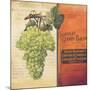 Grapes-Kimberly Poloson-Mounted Art Print