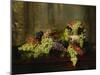 Grapes-Alberta Binford McCloskey-Mounted Giclee Print