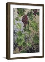 Grapes-Michael Jackson-Framed Giclee Print