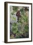 Grapes-Michael Jackson-Framed Premium Giclee Print